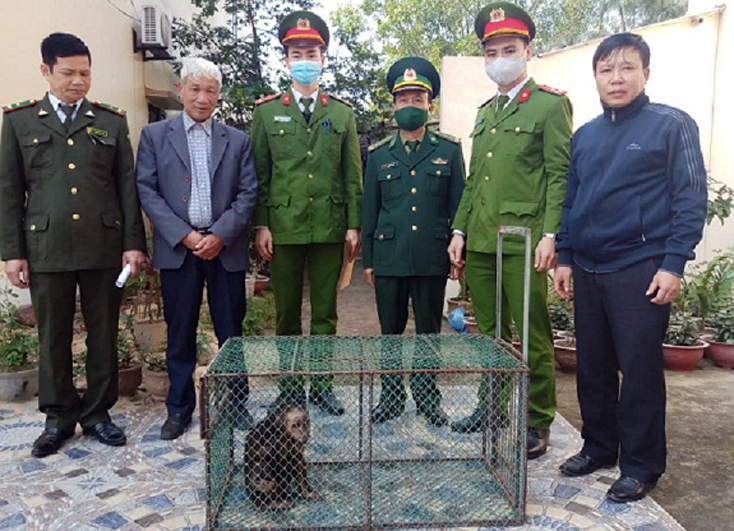 Tiếp nhận động vật hoang dã quý hiếm từ người dân để cứu hộ.