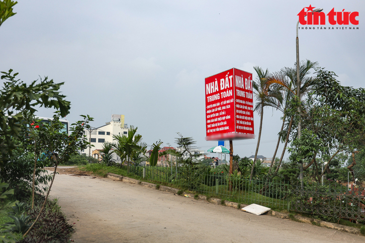 Văn phòng giao dịch bất động sản mọc lên khắp nơi, kể cả trên tuyến đường đê tại huyện Đông Anh, Hà Nội. Ảnh: Trung Nguyên/Báo Tin tức