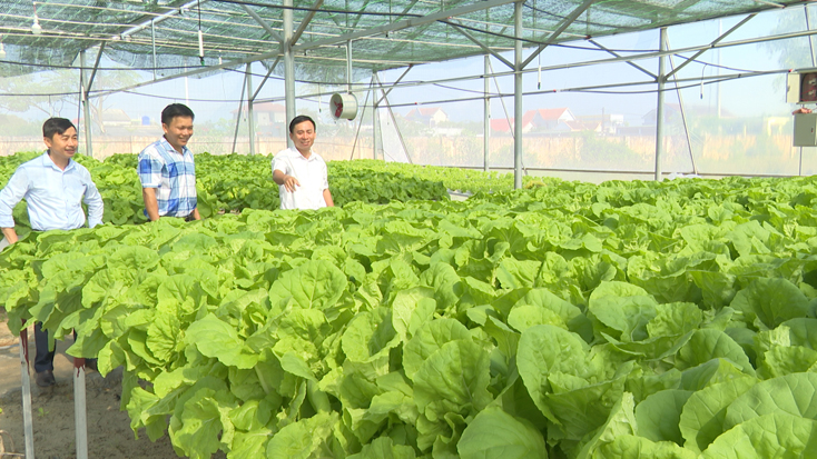 Năng suất của các loại cây trồng cao hơn từ 30% đến 40% so với phương pháp canh tác truyền thống.