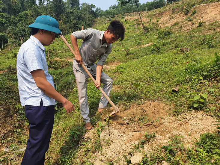 Người dân huyện Lệ Thủy trồng rừng cây bản địa.