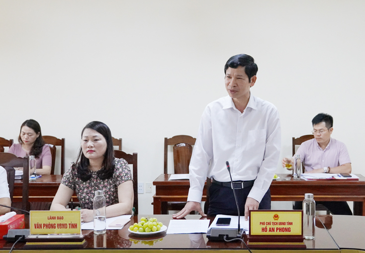 Đồng chí Phó Chủ tịch UBND tỉnh Hồ An Phong phát biểu tại buổi làm việc.