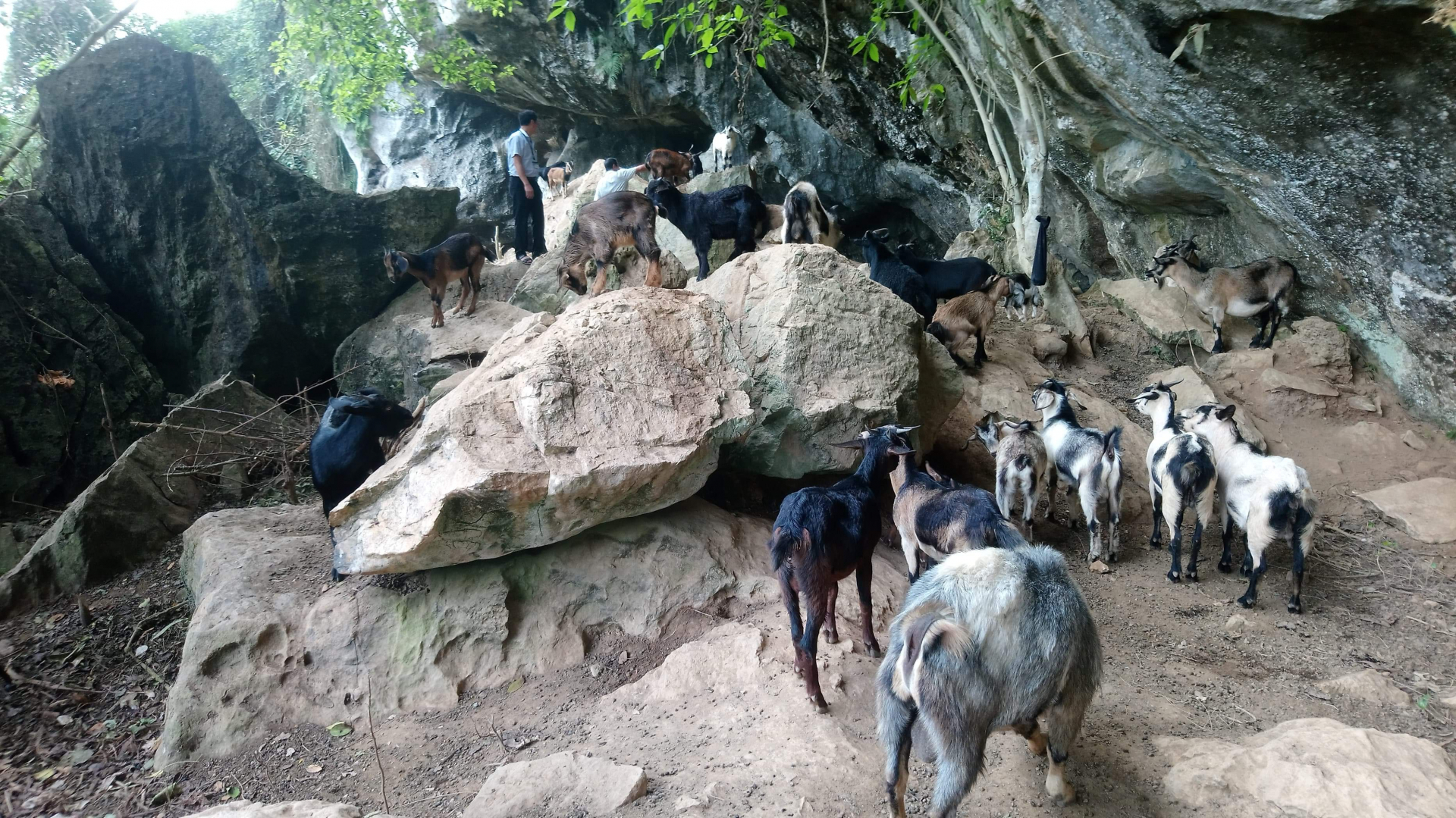 Việc xây dựng, nhân rộng các mô hình giảm nghèo hiệu quả, phù hợp với nhu cầu, khả năng của người nghèo sẽ góp phần giảm tỷ lệ hộ nghèo