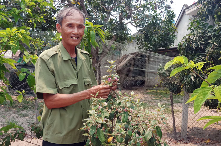  Cựu chiến binh Đàm Xuân Đê.