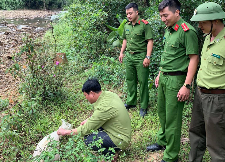 Các lực lượng chức năng đang thả rắn về với môi trường tự nhiên