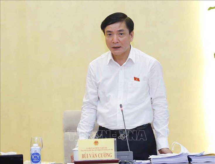Tổng Thư ký, Chủ nhiệm Văn phòng Quốc hội Bùi Văn Cường phát biểu.