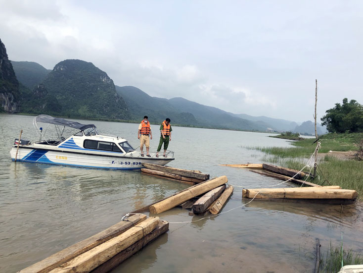  Số gỗ trái phép do lực lượng Công an huyện Tuyên Hóa thu giữ tại hiện trường.