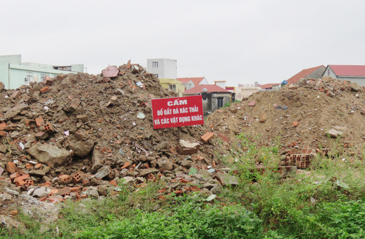 Sở Tài nguyên-Môi trường tiếp tục đẩy mạnh hoạt động thanh tra, kiểm tra và xử lý nghiêm các hành vi vi phạm về xử lý chất thải rắn.