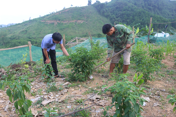 Chi bộ Đảng yếu sẽ khó tổ chức, gây dựng các mô hình, phong trào làm ăn phát triển kinh tế.