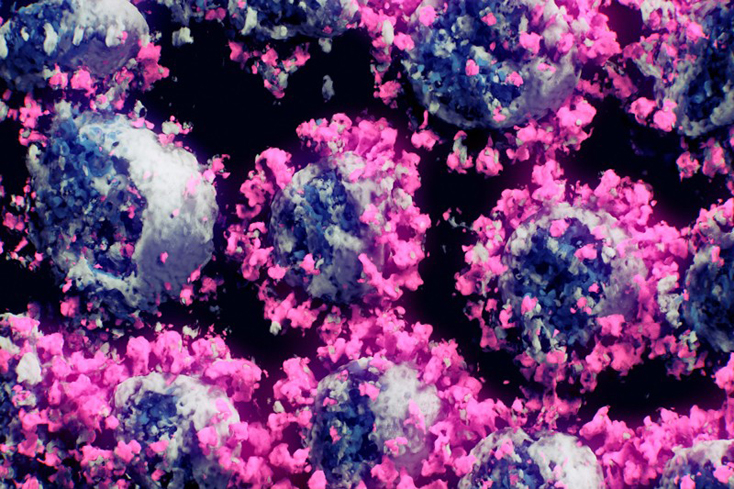 Hình ảnh 3D của virus SARS-CoV-2 do Đại học Thanh Hoa (Trung Quốc) phối hợp cùng công ty NanoGraphics (Áo) thực hiện.