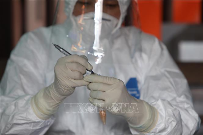 Xét nghiệm sàng lọc virus SARS-CoV-2. Ảnh: TTXVN.