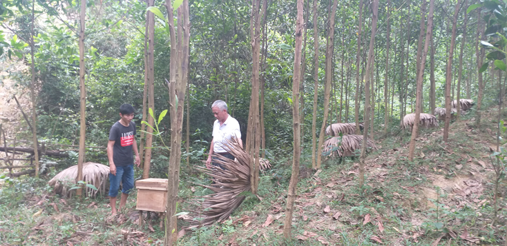Hỗ trợ sinh kế và nhân rộng mô hình tạo điều kiện để người nghèo thay đổi tập quán sản xuất.