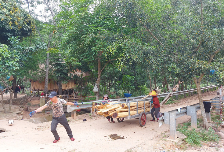 Do ảnh hưởng của dịch bệnh Covid-19, nhiều lao động trên địa bàn huyện thiếu việc làm, thiếu thu nhập nên việc phát triển đối tượng tham gia BHXH tự nguyện gặp nhiều khó khăn. (trong ảnh: Người lao động ở xã Trọ