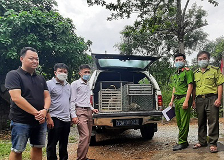 Người dân tự nguyên giao nộp động vật hoang dã cho trung tâm để cứu hộ.