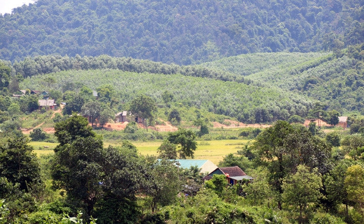 Bản Rào Con