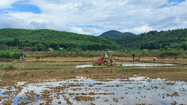Người dân bản Cà Xen làm đất chuẩn bị xuống giống lúa hè-thu.