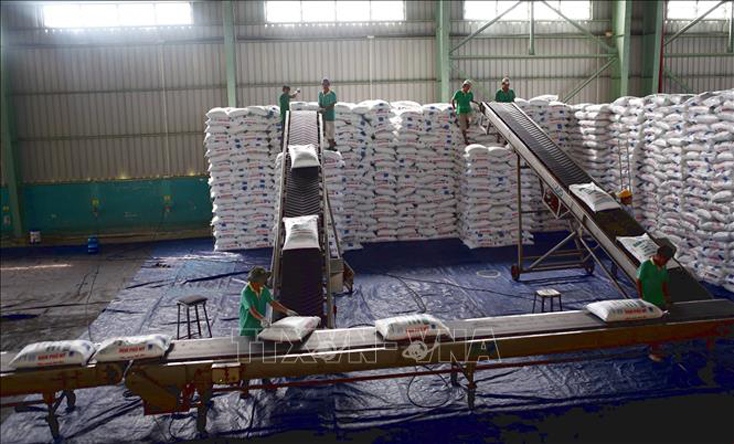  Vận chuyển đạm Phú Mỹ tại kho hàng của PVFCCo tại Cần Thơ. Ảnh: Huy Hùng/TTXVN Theo quy luật thị trường thế giới