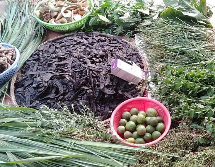 Dầu gội đầu Hương Xưa được chế biến từ các loại thảo dược trên địa bàn huyện Lệ Thủy.