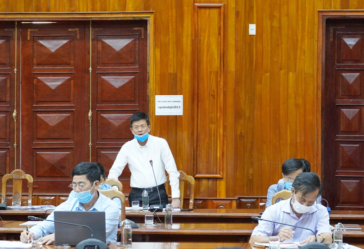 Đồng chí Chủ tịch Hội Nông dân tỉnh phát biểu tại cuộc họp.