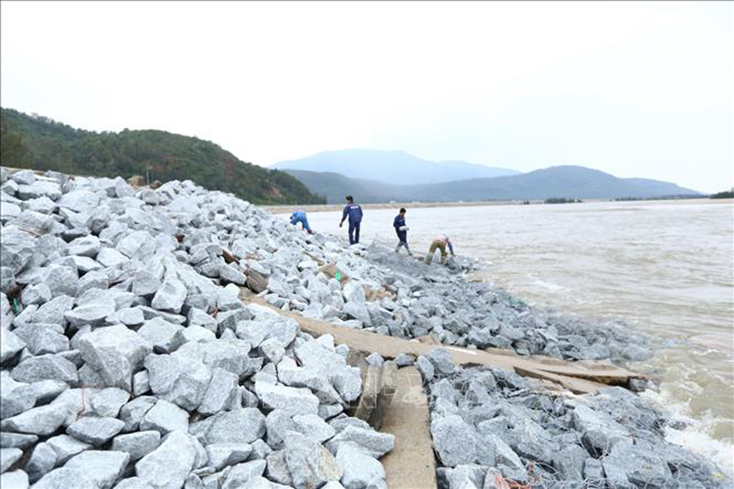  Gia cố đê biển xã Thịnh Lộc (huyện Lộc Hà, Hà Tĩnh). Ảnh: Minh Quyết/TTXVN