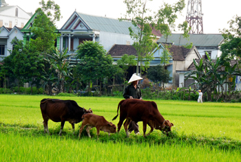 Ảnh: Tiến Hành