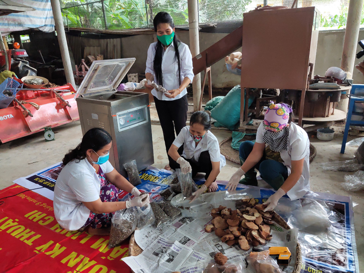 Các mô hình kinh tế do phụ nữ làm chủ mang lại hiệu quả cao. 