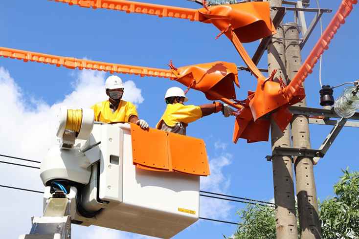 Đội Hotline 2 thực hành kiểm tra sát hạch bước 3 sửa chữa lưới điện 22kV đang mang điện.