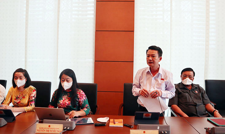 Đại biểu Trần Quang Minh phát biểu tại buổi thảo luận ở tổ.