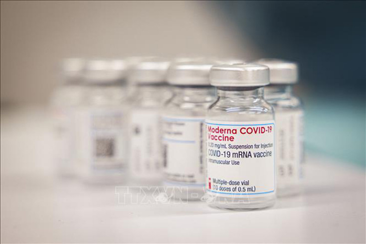Vaccine ngừa COVID-19 của Moderna. Ảnh: AFP/TTXVN