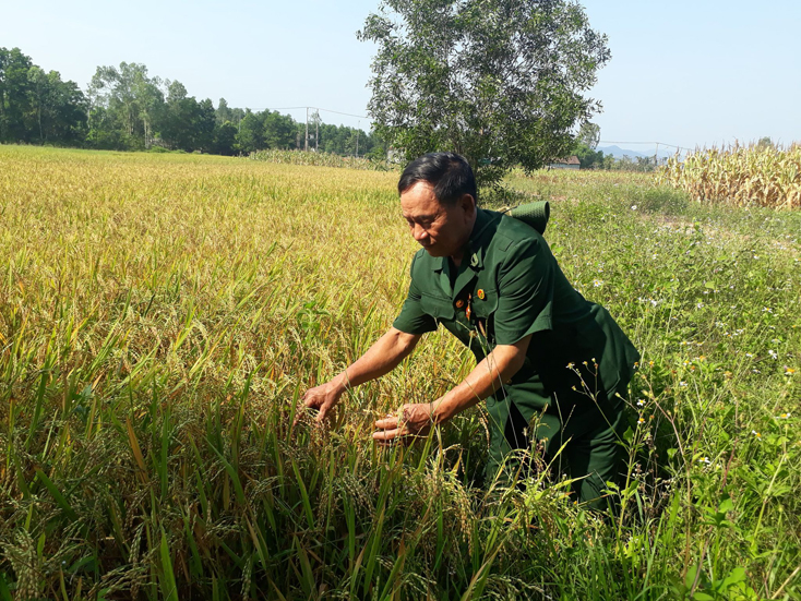 Tuổi xế chiều, thương binh Trần Đình Nghĩa vui thú với ruộng vườn. (Ảnh: Ánh Dương)