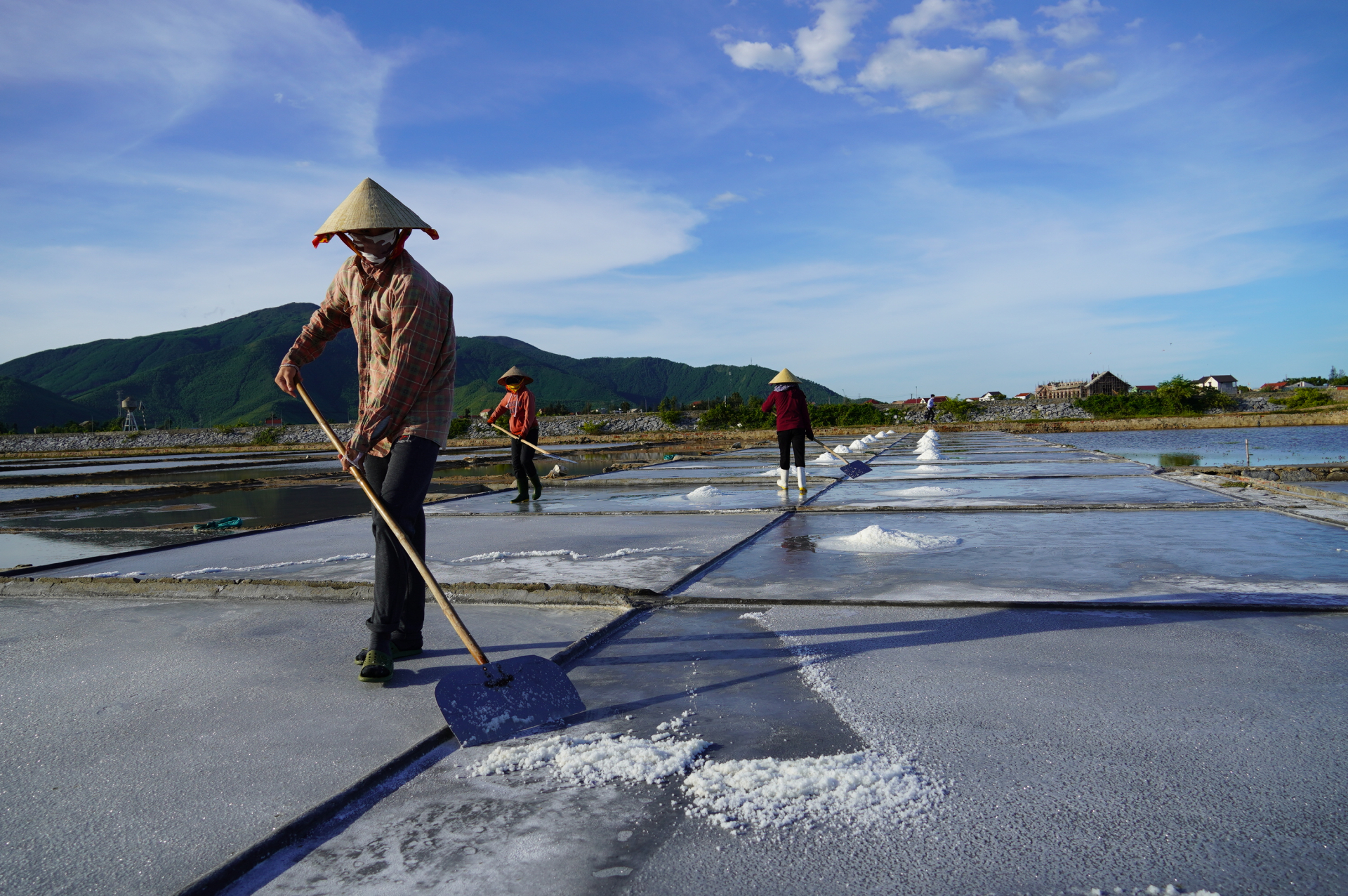 Diêm dân thu gom muối.