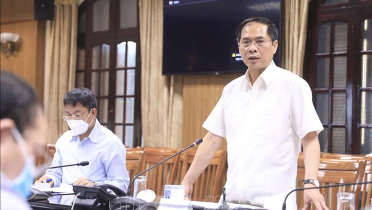 Bộ trưởng Bộ Ngoại giao Bùi Thanh Sơn, Tổ trưởng Tổ công tác của Chính phủ về ngoại giao vaccine phát biểu. Ảnh: Lâm Khánh/TTXVN