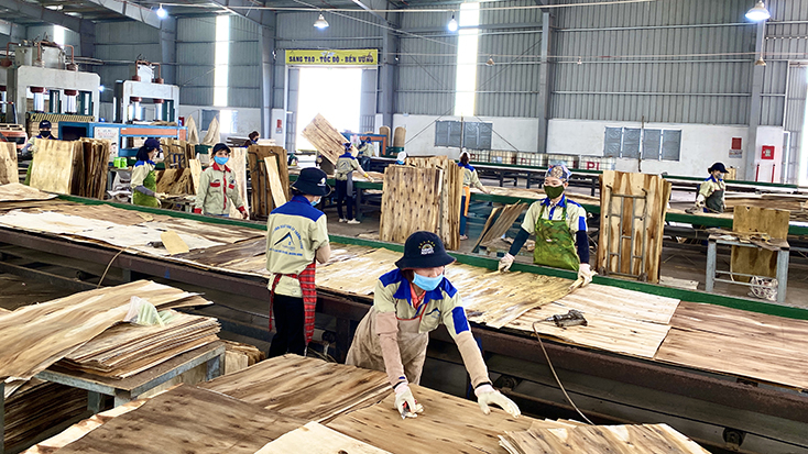 Hầu hết các doanh nghiệp trên địa bàn tỉnh đang chịu ảnh hưởng nặng nề bởi dịch bệnh Covid-19.