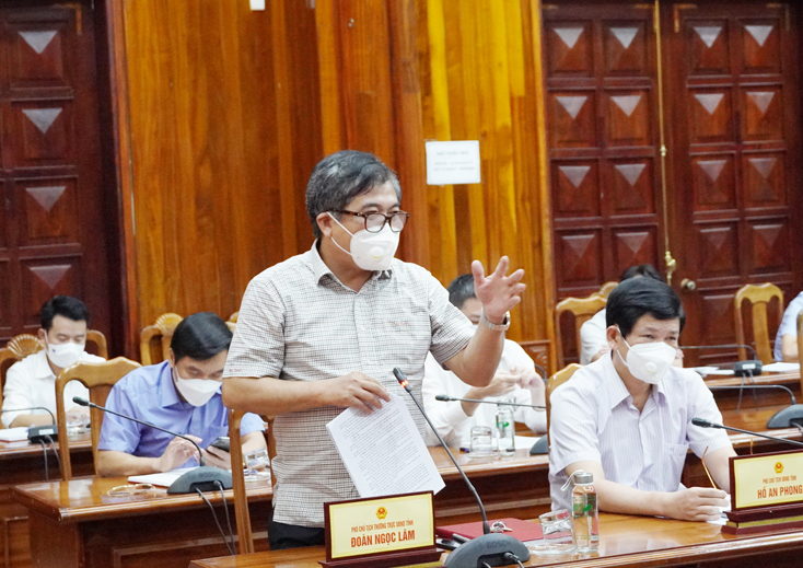 Đồng chí Phó Chủ tịch Thường trực UBND tỉnh Đoàn Ngọc Lâm phát biểu tại cuộc họp.
