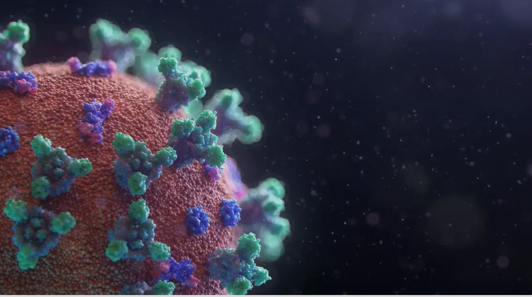  Hình ảnh mô phỏng virus SARS-CoV-2. Nguồn: alarabiya.net