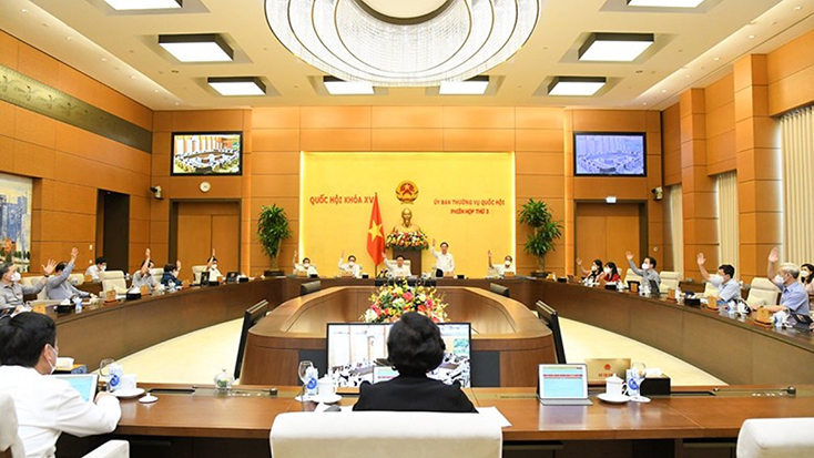 Ủy ban Thường vụ Quốc hội biểu quyết thống nhất cao với nhiều nội dung quan trọng. Ảnh: Quốc hội