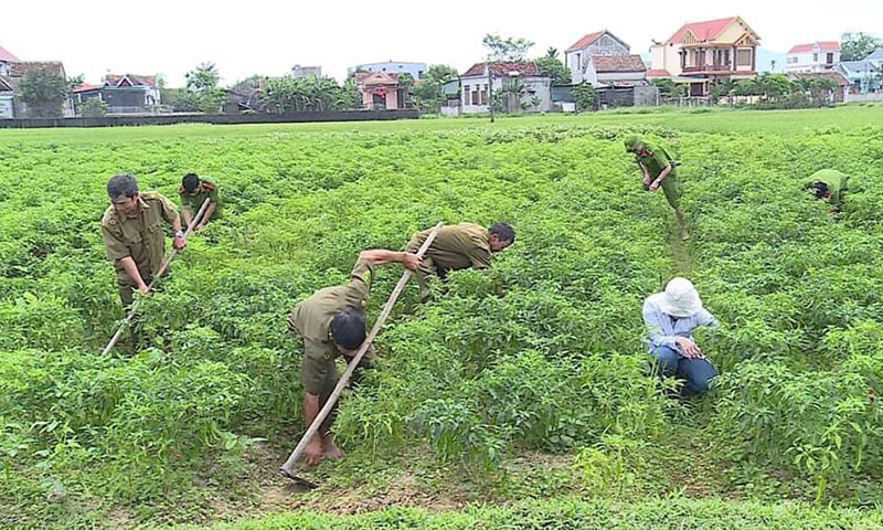 Công an xã Quảng Lộc giúp nhân dân chăm sóc hoa màu.