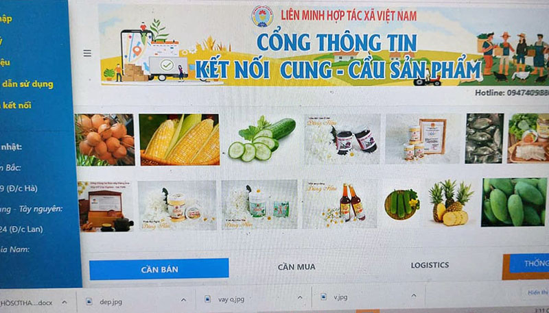 Nhiều sản phẩm của các HTX đã được đưa lên Cổng thông tin kết nối cung cầu sản phẩm 