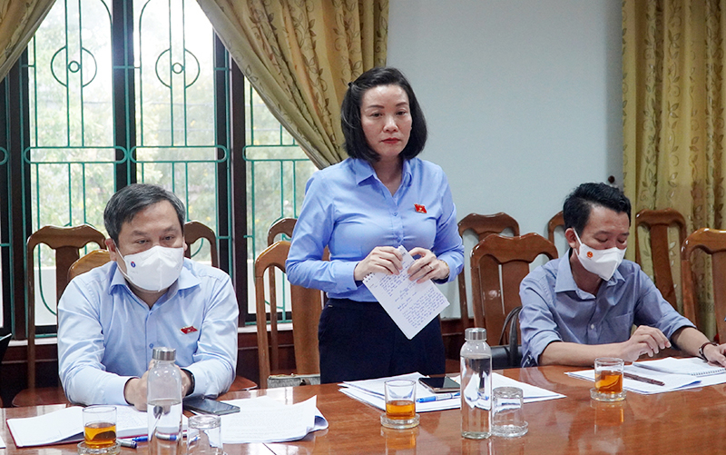 Đồng chí Nguyễn Minh Tâm, Tỉnh ủy viên, Phó trưởng đoàn chuyên trách Đoàn ĐBQH tỉnh phát biểu tại buổi khảo sát.