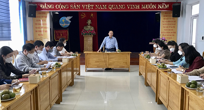 Đồng chí Phó Bí thư Thường trực Tỉnh ủy Trần Hải Châu phát biểu tại buổi làm việc.