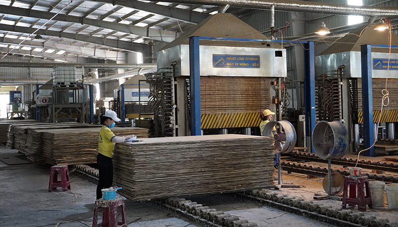 Các doanh nghiệp bị ảnh hưởng bởi dịch Covid-19 nỗ lực phục hồi sản xuất.