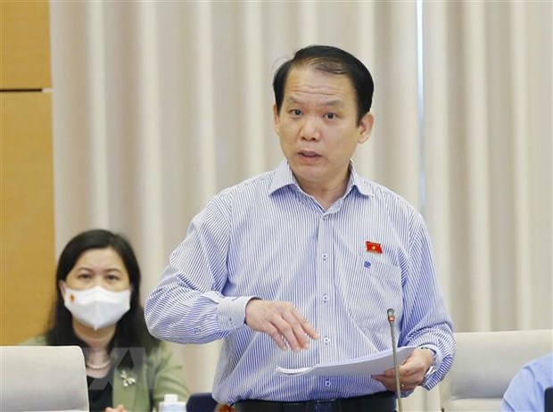 Chủ nhiệm Ủy ban Pháp luật của Quốc hội Hoàng Thanh Tùng phát biểu ý kiến. (Ảnh: Doãn Tấn/TTXVN)