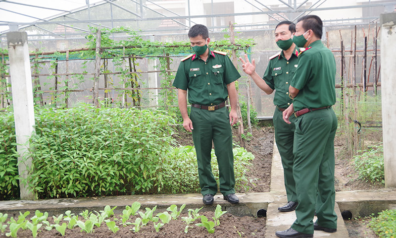 Kiểm tra công tác tăng gia sản xuất tại Ban CHQS huyện Quảng Ninh.