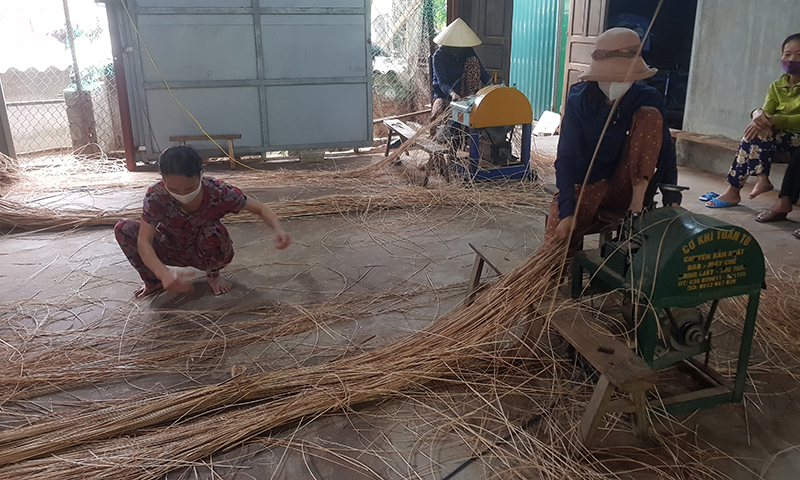 Nghề mây đan mang lại việc làm và thu nhập ổn định cho gần 400 hộ dân xã Quảng Văn, TX. Ba Đồn.