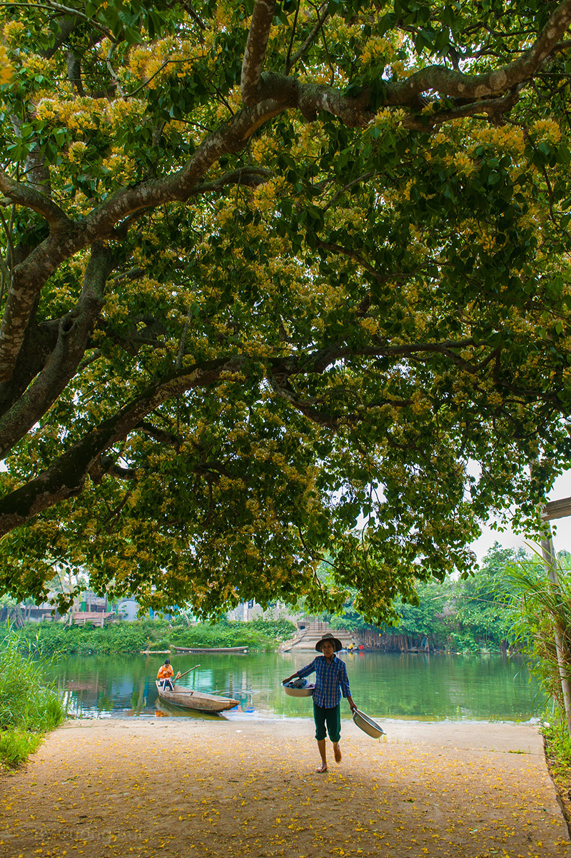 Bến Xuân. Ảnh: Cường Bùi