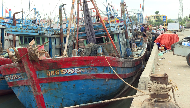 Tàu thuyền của ngư dân các xã biển đã neo đậu an toàn.