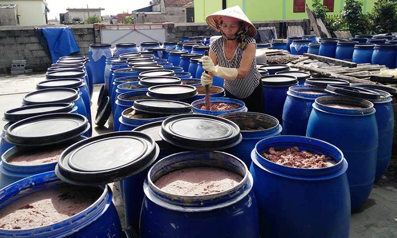 Từ nguồn vốn chính sách ưu đãi, nhiều chị em phụ nữ đã chủ động trong sản xuất, kinh doanh và phát triển kinh tế gia đình.