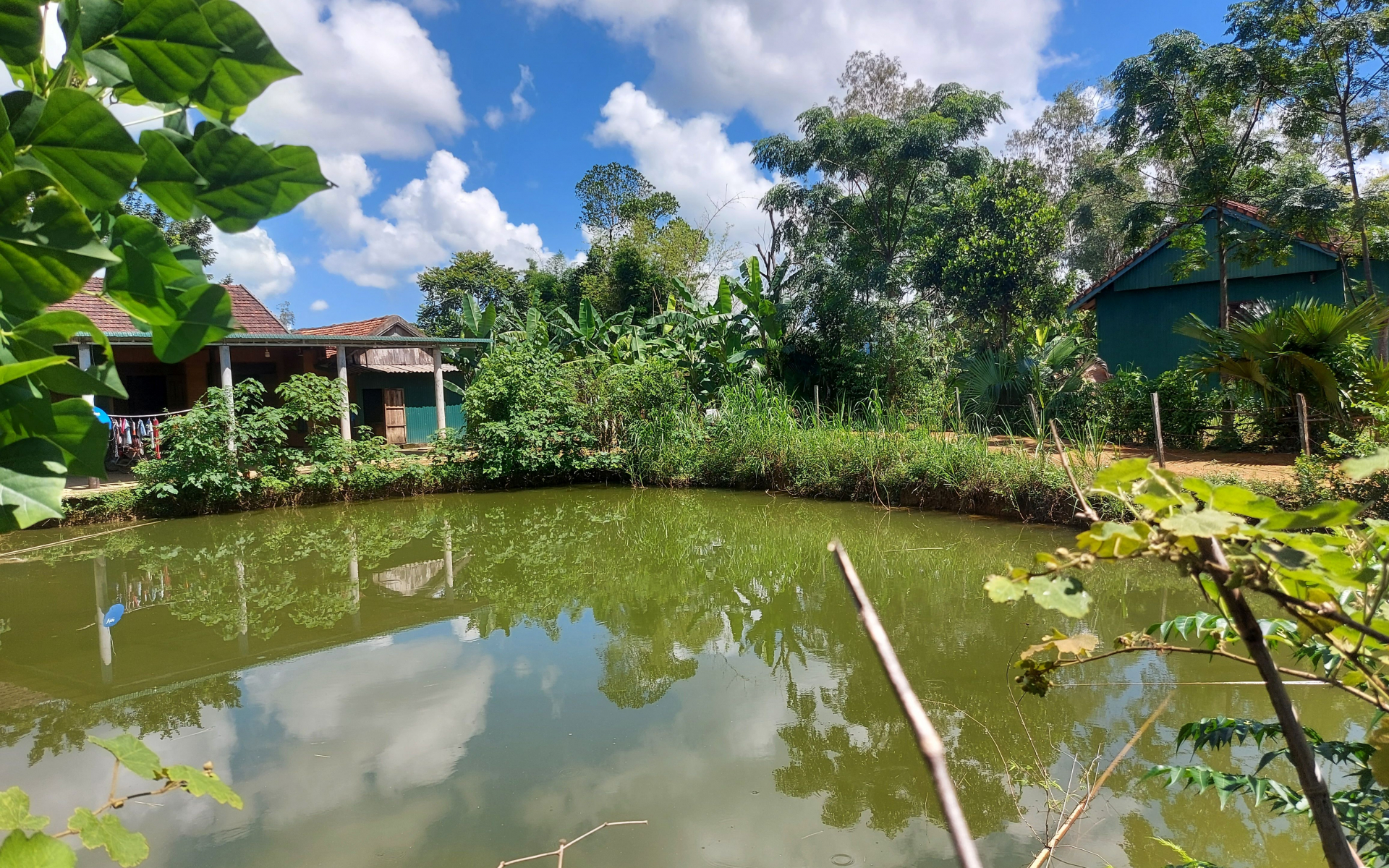 Nhiều hộ dân ở Minh Hóa có ao nuôi cá nhưng chưa được rào chắn để bảo đảm an toàn cho trẻ em.