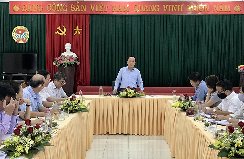 Đồng chí Phó Bí thư Thường trực Tỉnh ủy Trần Hải Châu kết luận buổi làm việc.