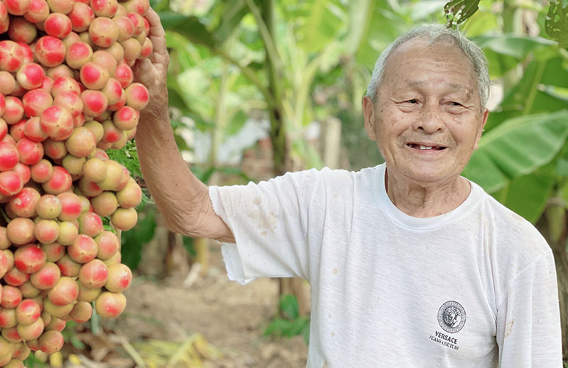 Những vườn dâu da chín rộ trở thành điểm đến thú vị của những người khách phương xa.