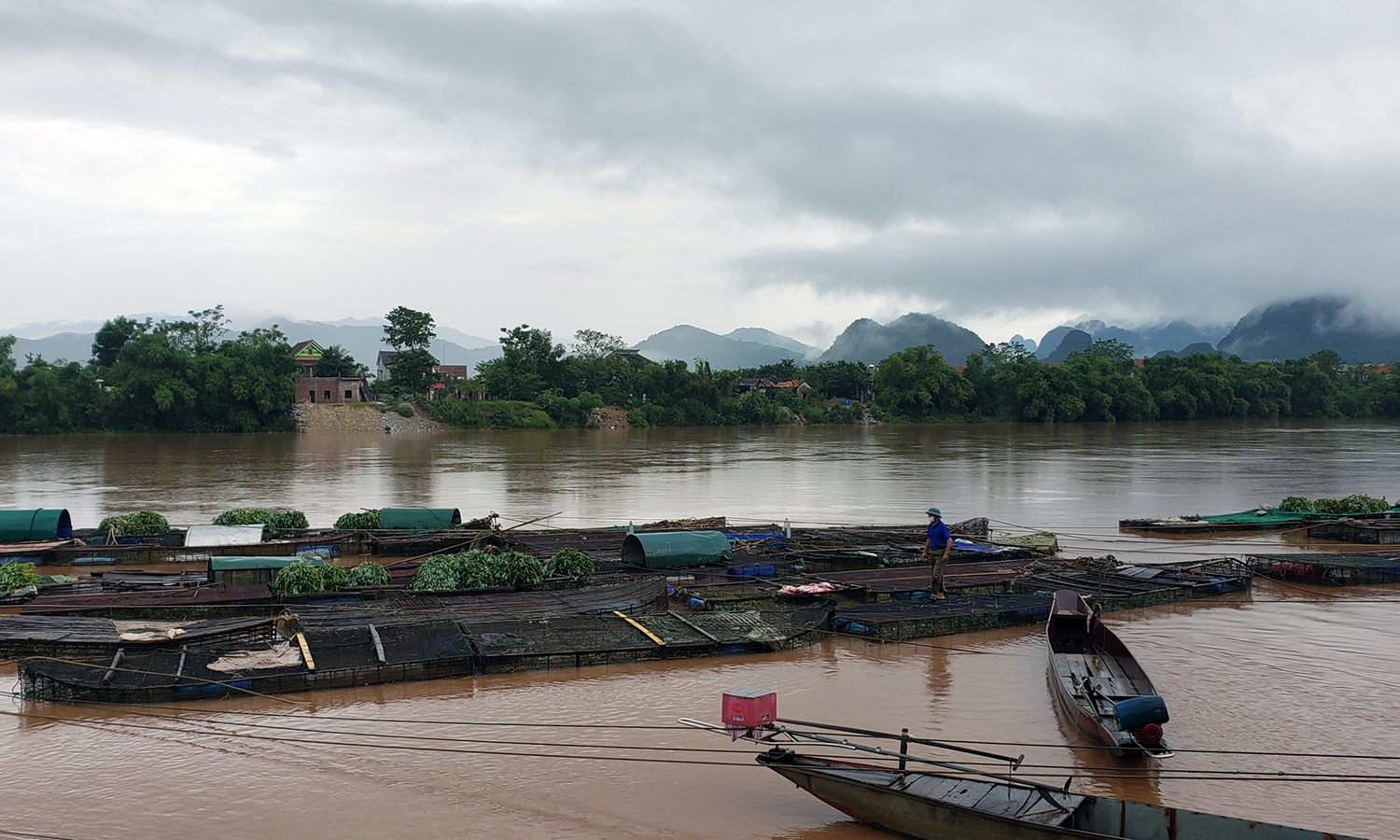 Thị trấn Phong Nha (Bố Trạch) hiện có gần 300 tấn cá chưa tiêu thụ được do ảnh hưởng của dịch Covid-19.